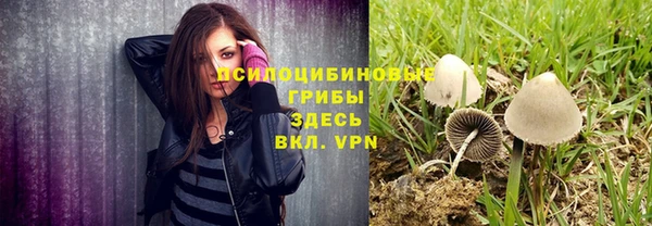 твердый Армянск