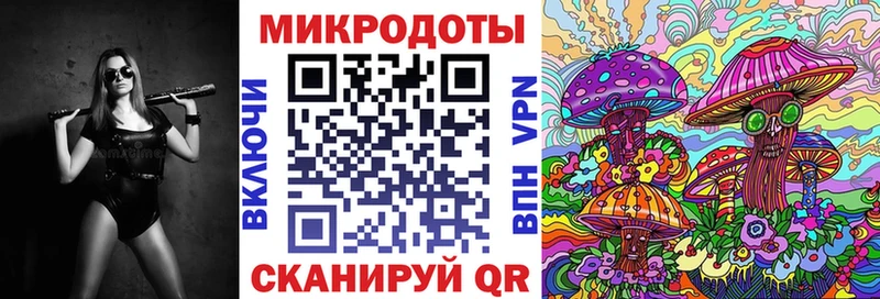 omg ONION  Покачи  Псилоцибиновые грибы мицелий 